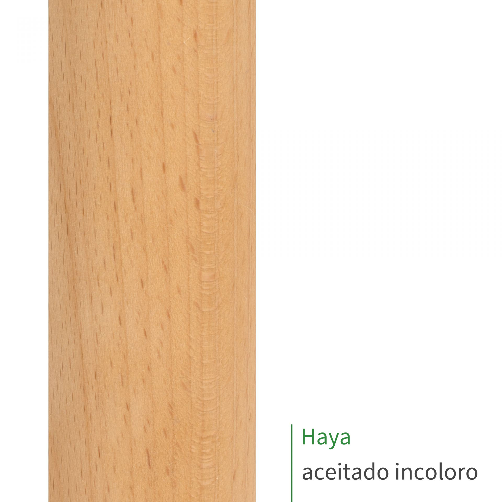 Muestra de pasamanos de haya aceitado incoloro, veteado cálido con poros finos, rótulo «Haya aceitado incoloro»