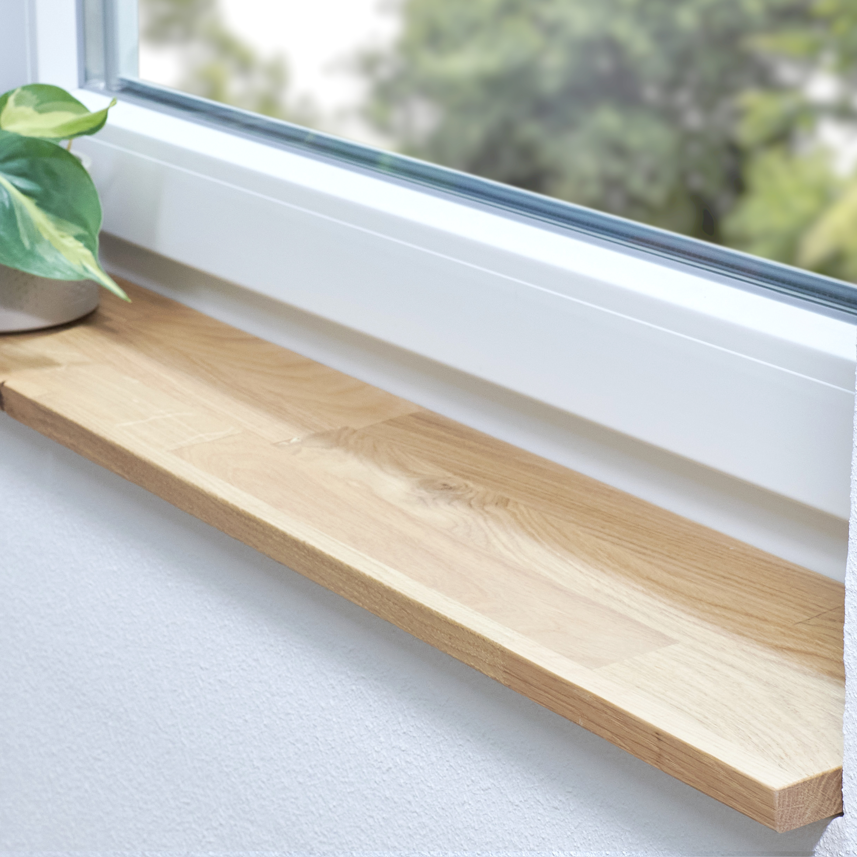 Alféizar de roble silvestre natural, con unión dentada y nudos, en derrame blanco con planta en maceta y vista al verde