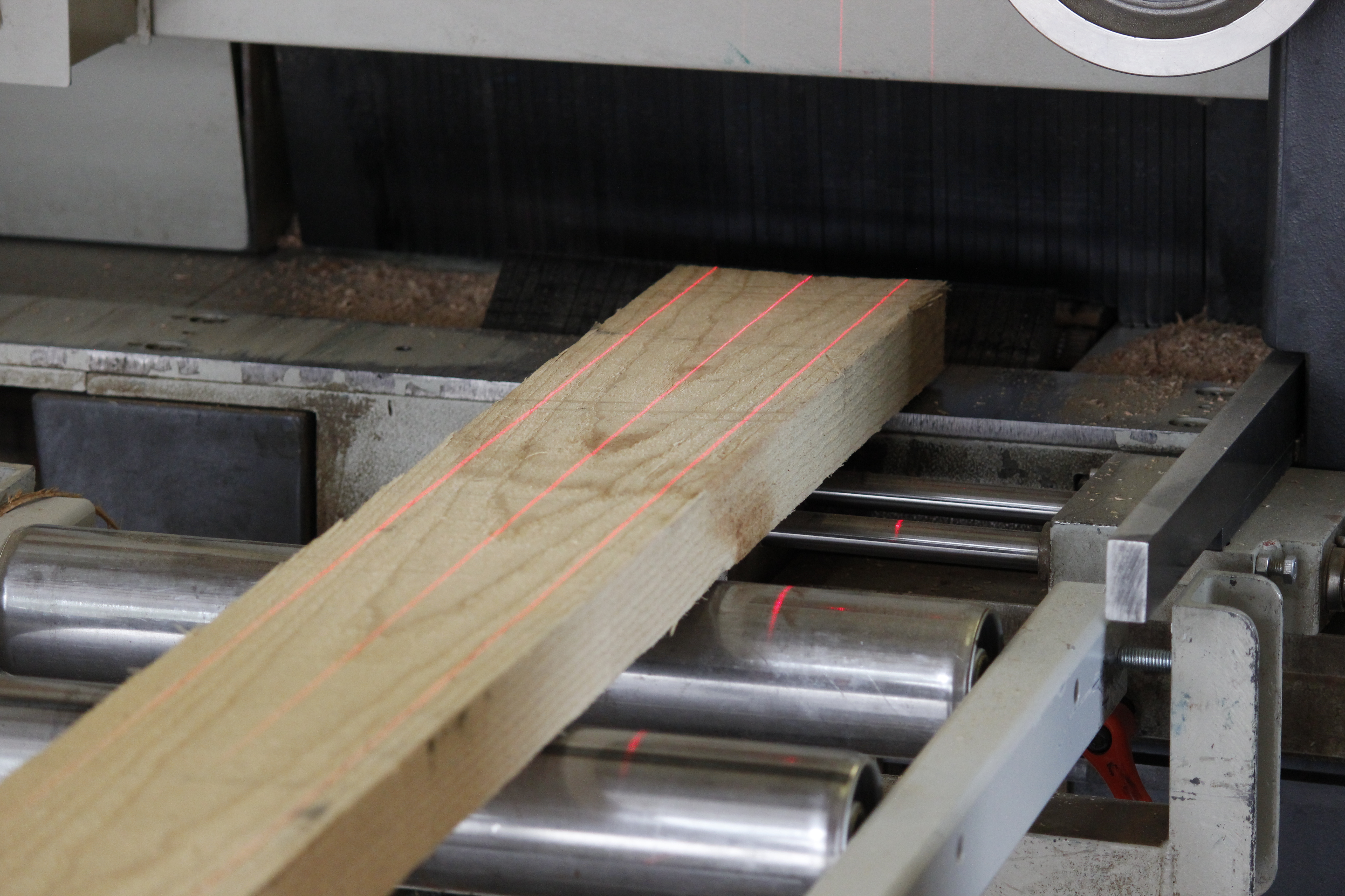Fabricación de alféizar de madera maciza: pieza en bruto en el camino de rodillos de una sierra con láser rojo, taller