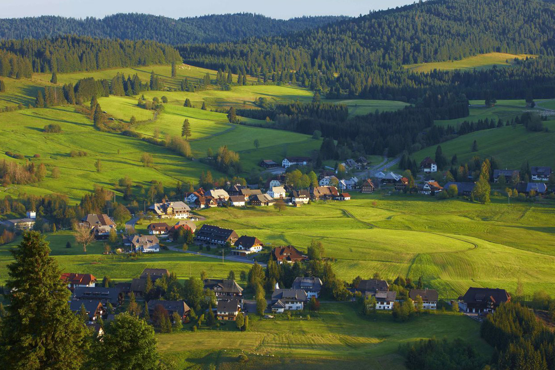 Paisaje de la Selva Negra con pueblo, prados verdes y bosques de abetos, hogar de la fabricación de pasamanos