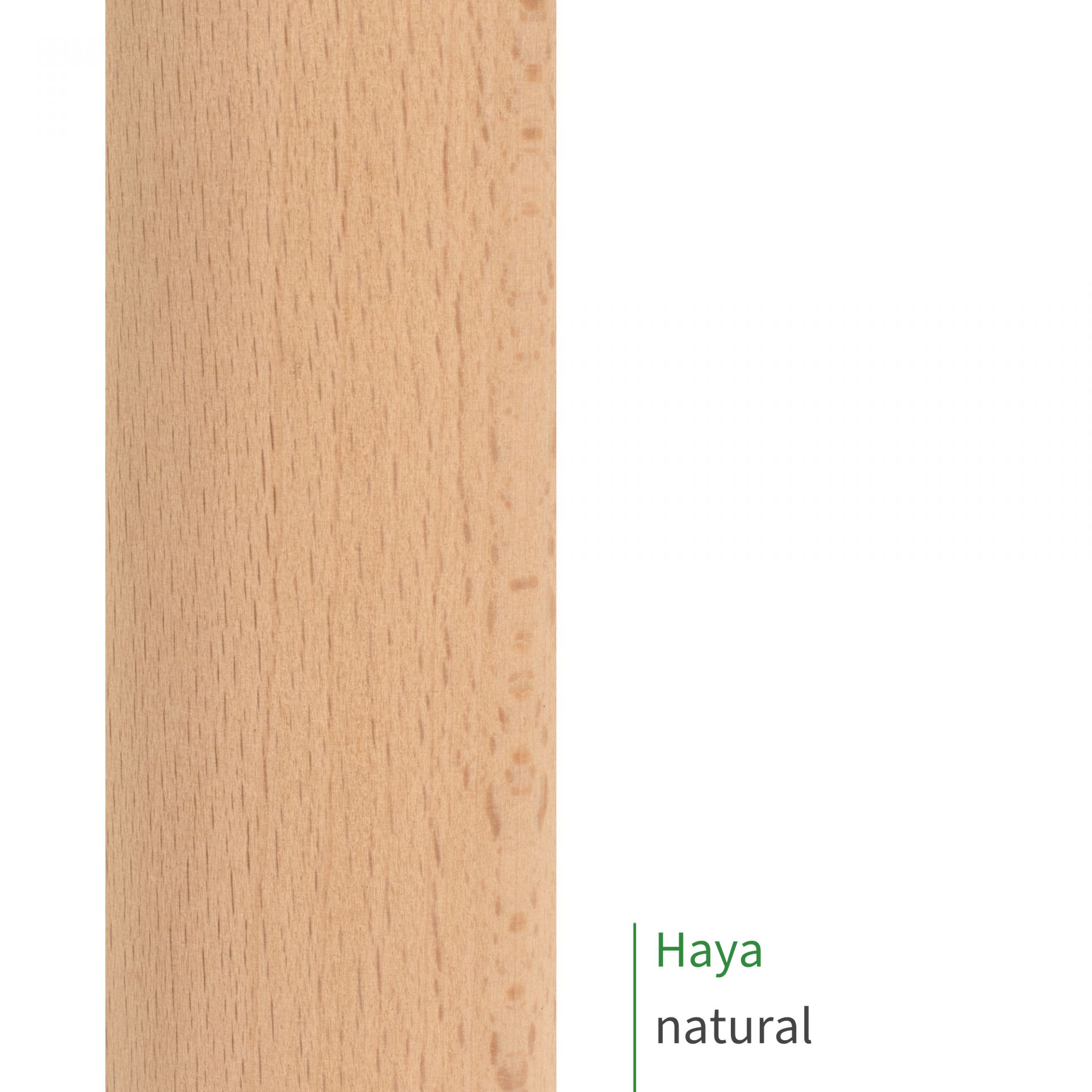 Muestra de pasamanos de haya sin tratar, madera clara de veteado fino en primer plano, rótulo «Haya natural»